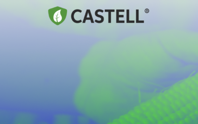 CASTELL against corn crop dryer