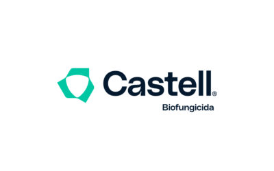 Castell®: Innovación Biotecnológica para el Manejo de Enfermedades Fúngicas del Suelo