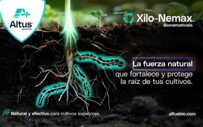 Xilo-Nemax®: Solución Biotecnológica para el Control Sostenible de Nematodos